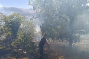 الدفاع المدني أخمد حريق أعشاب وأشجار في شارون