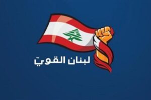 Strong Lebanon Bloc Challenges Law 328: Procedural Violations and Conceptual Ambiguity