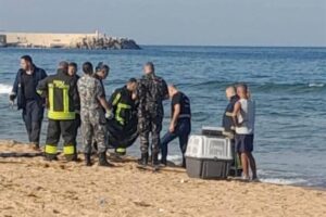 بالصورة – جثة ضحية كلاب شاردة.. على شاطئ الرملة البيضاء!