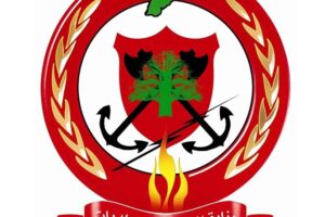 الدفاع المدني: للامتناع عن استخدام المفرقعات ابتهاجا بنتائج الانتخابات خشية من اندلاع الحرائق