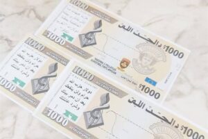بالصور – طائرات إسرائيلية ترمي “دولارات مزيفة” فوق الناقورة