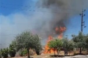 بالفيديو- حريق كبير على طريق قرطبا- نهر ابراهيم والدفاع المدني يعمل على إخماده