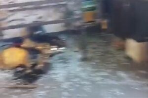 مجزرة في السويداء.. ووهاب يعلن إطلاق “جيش التوحيد”!