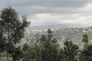 إسرائيل ألقت مناشير فوق الخيام أثناء تشييع شهيد