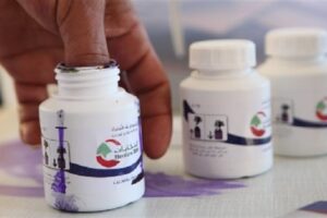 اللواء: تعديل قانون الانتخاب بما يسمح بتصويت المغتربين؟