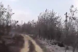 بالفيديو- مشاهدٌ صادمة.. هكذا بدا إقليم الخروب بعد إخماد النيران!