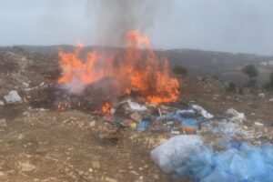 ماذا حصل في صور؟