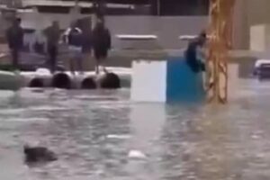 بالفيديو- أوّل مسبح شتويّ في الجناح!