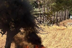 بالفيديو والصور – استشهاد شقيقين بغارة على راشيا الوادي