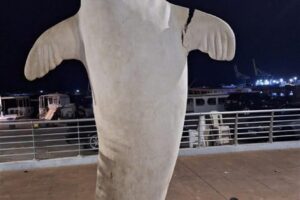 بالصورة: تعرض مجسم الفقمة على كورنيش الميناء في طرابلس للتكسير من قبل مجهولين