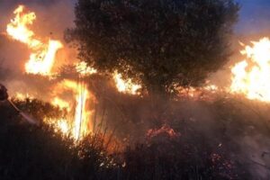 عكس السير: ما الذي كان على الحكومة – غير الآبهة – فعله لتفادي الحرائق؟