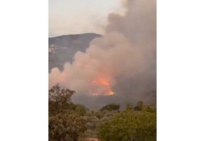 بالفيديو – النيران تلتهم حرج بكاسين.. أكبر غابة للصنوبر المثمر في الشرق الأوسط!