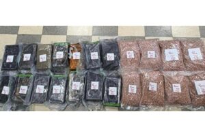 بالتعاون مع أجهزة الأمن السعودية.. تفكيك شبكة تهريب دولية وضبط أنواع خطيرة من المخدرات!