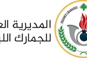 27 طناً من الملوخية الفاسدة… الجمارك تضرب شبكات الغش والتهريب