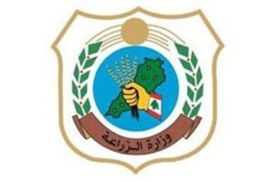 وزارة الزراعة: نتائج إيجابية لحملة تحصين الأبقار ضد الحمى القلاعية