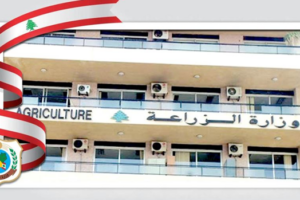 وزارة الزراعة وزعت تقريرها الاسبوعي رقم 2 حول إجراءات الاستجابة للحد من انتشار الحمى القلاعية في لبنان