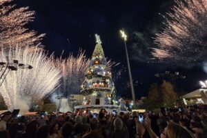 الديار: تراجع حدة الخروقات والعمليات الاسرائيلية