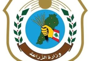 مرض “الحمى القلاعية” يضرب مزارع المواشي في لبنان.. وبيان يكشف