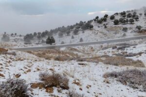 الثلوج تغطي مرتفعات الضنية