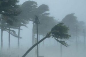 مع اشتداد العاصفة.. تحذير جديد!