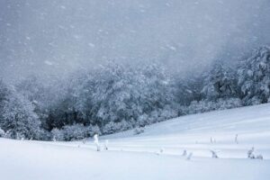 العاصفة تشتدّ.. تدنٍ حاد في درجات الحرارة والثلوج ما دون الـ 900 متر!