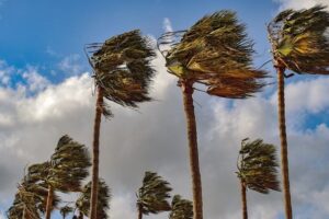 طقس الأحد: رياح قوية وغبار والحرارة أعلى من معدلات شباط!